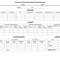 More information about "OPD Performa"